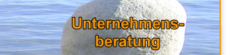 Unternehmensberatung