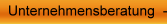 Unternehmensberatung